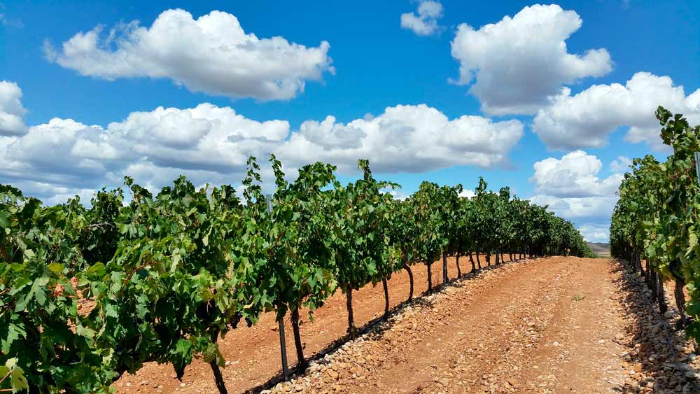 expoagritech|expoagritech
